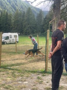 Area Cani - Camping Aiguille Noire